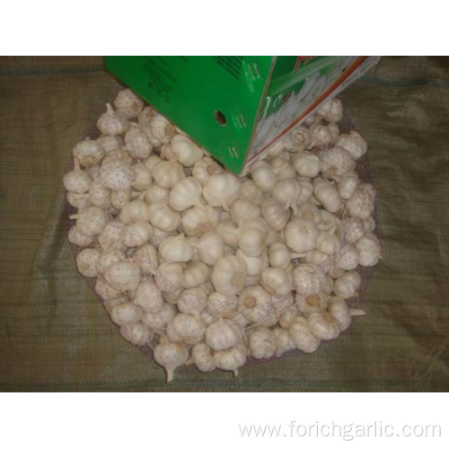 Supply All The Year Pure White Garlic